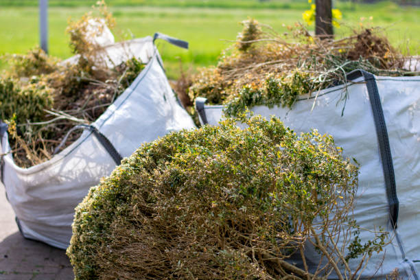 Best Trash Removal Near Me  in Depoe Bay, OR